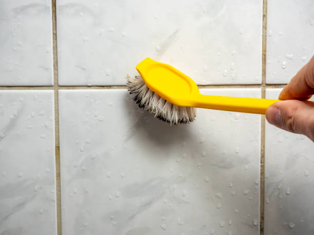 Best Mold Damage Repair  in Amelia, LA