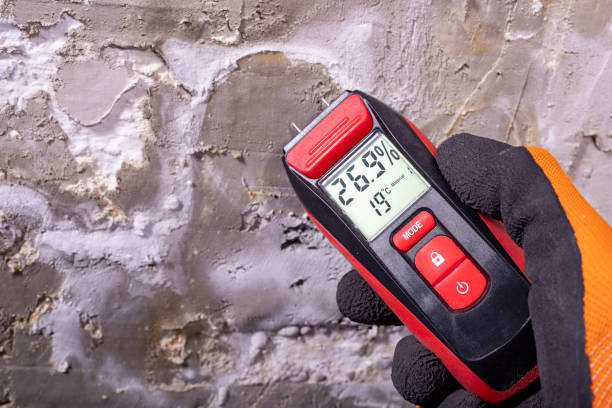Best Black Mold Removal  in Amelia, LA