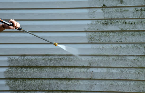 Best Residential Mold Removal  in Amelia, LA
