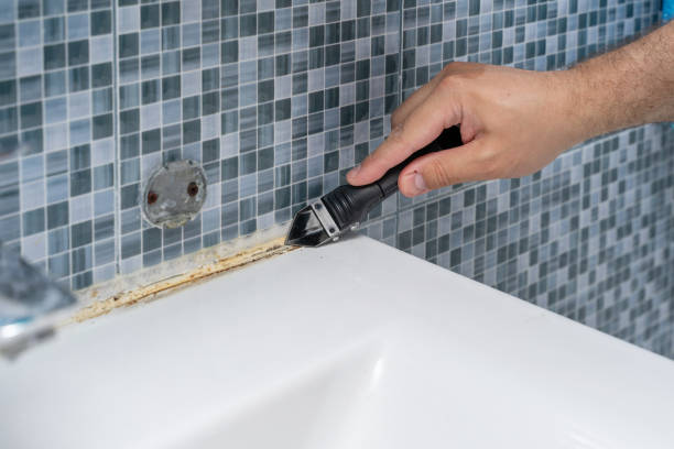 Best Mold Cleaning Services  in Amelia, LA